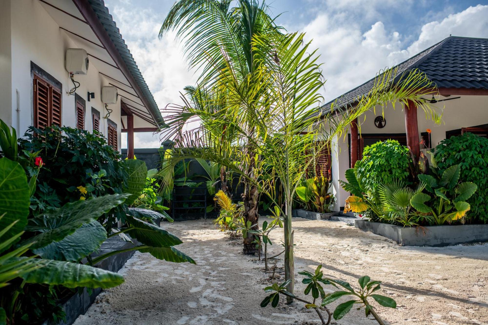 Baobab Bungalows Джамбиани Экстерьер фото