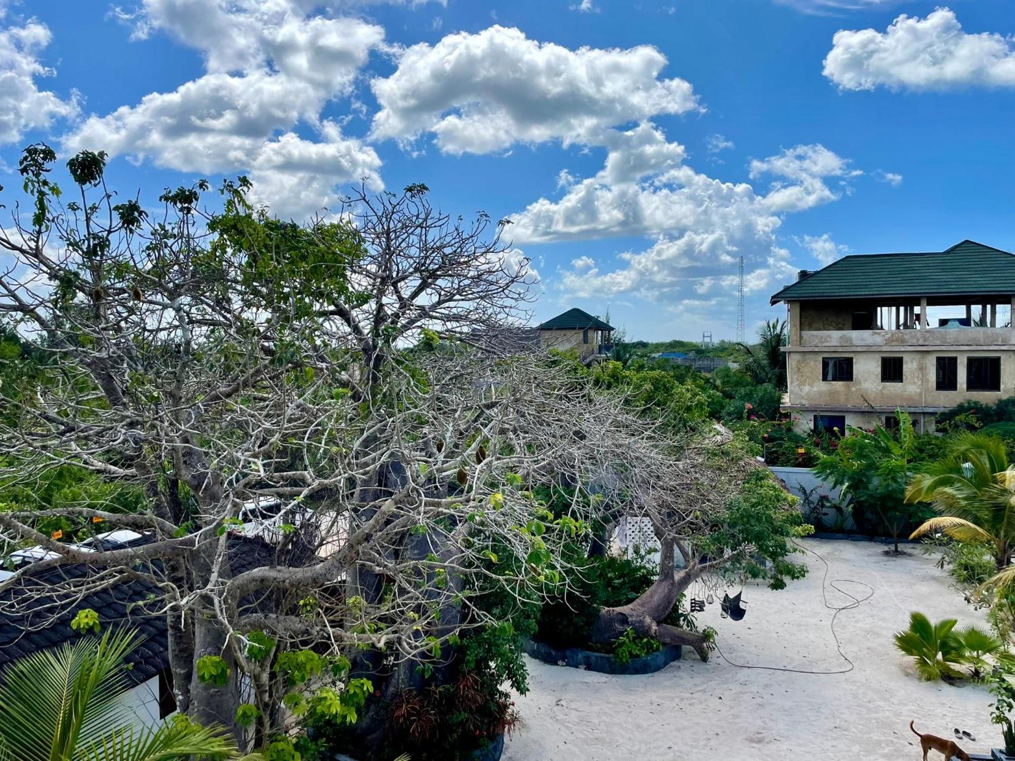 Baobab Bungalows Джамбиани Экстерьер фото
